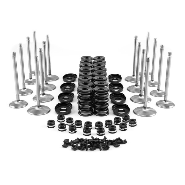 Speedmaster : Outlet® OUT-29834814 Chevy SBC 350 Ford SB 289 302 351W Head Build Kit - Hydraulic Roller Tappet